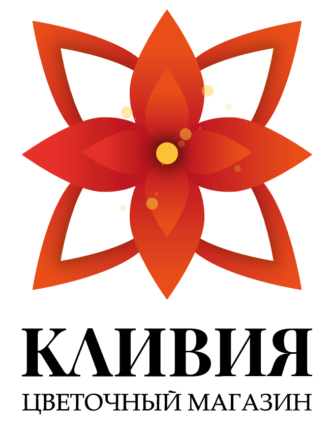 Титульная картинка